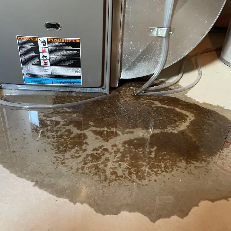 Appliance Leak Cleanup in Canyon Rim, UT